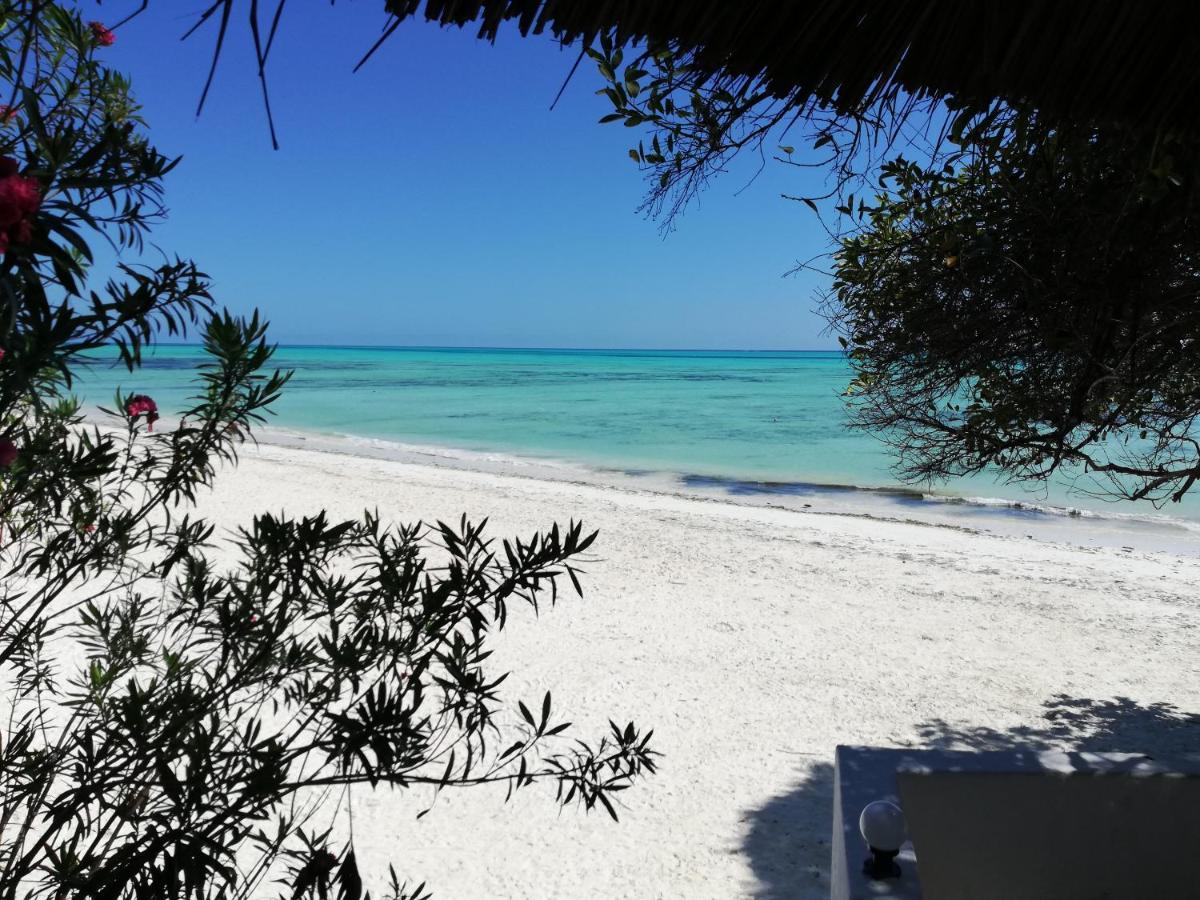 גאמביאני Red Monkey Beach Lodge מראה חיצוני תמונה