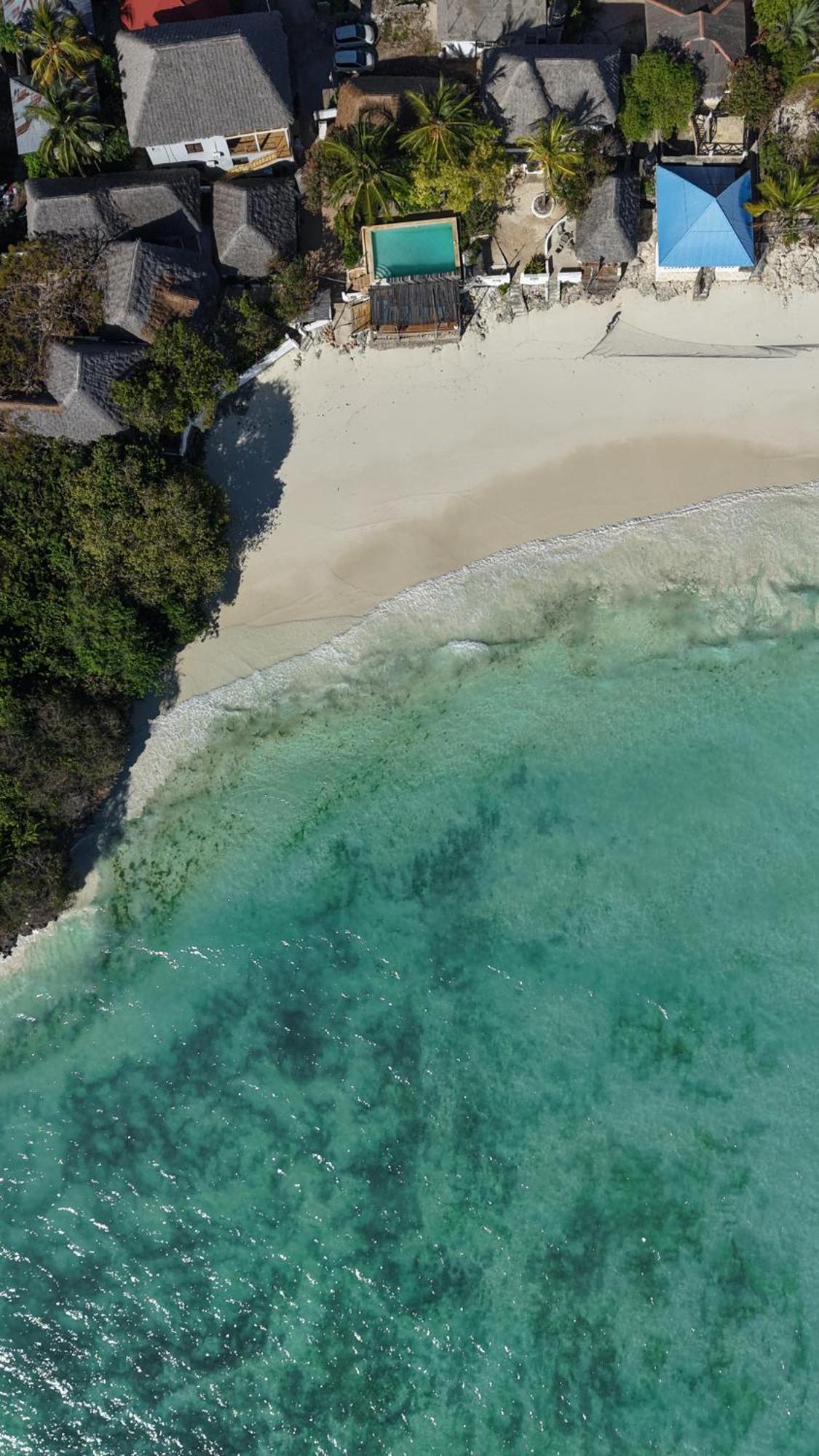 גאמביאני Red Monkey Beach Lodge מראה חיצוני תמונה